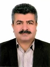 سید مهدی حسنی